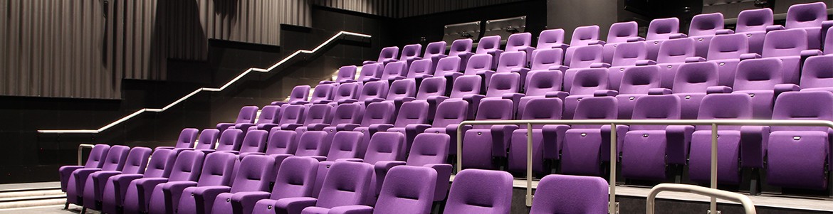 Nes kommune Nes kulturhus og kino